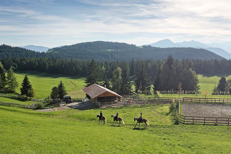 The small “Köfele" horse farm in Hafling