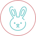 Rabbits Rabbits