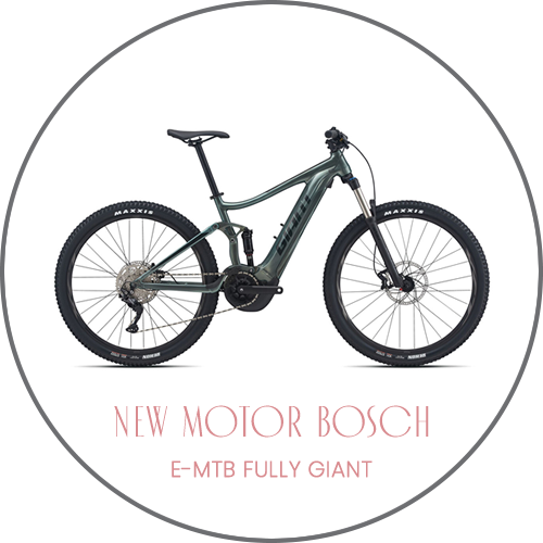 E-MTB FULLY GIANT New Motor Bosch Performance E-MTB FULLY GIANT New Motor Bosch Performance