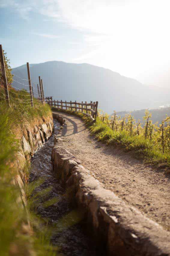 Geführte Wanderungen mit der Gastgebin