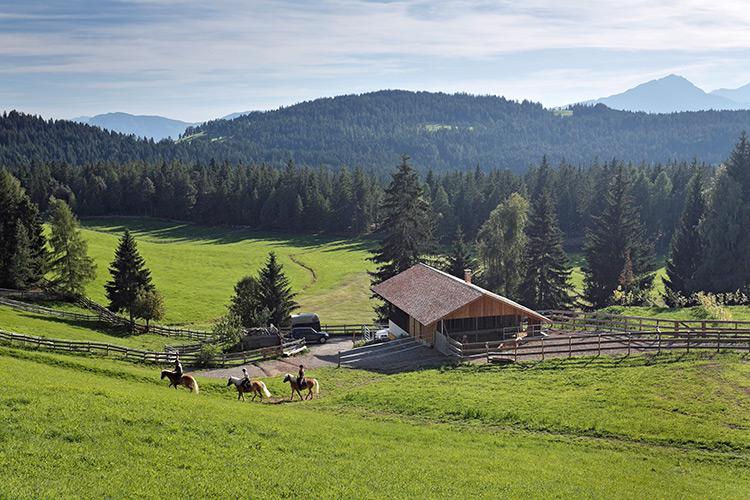 Unser kleiner Pferdehof in Hafling