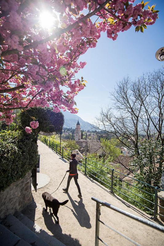 LA PASSEGGIATA TAPPEINER IN PRIMAVERA