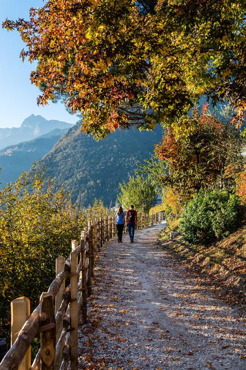 HERBSTFÄRBUNG IN DORF TIROL HERBSTFÄRBUNG IN DORF TIROL