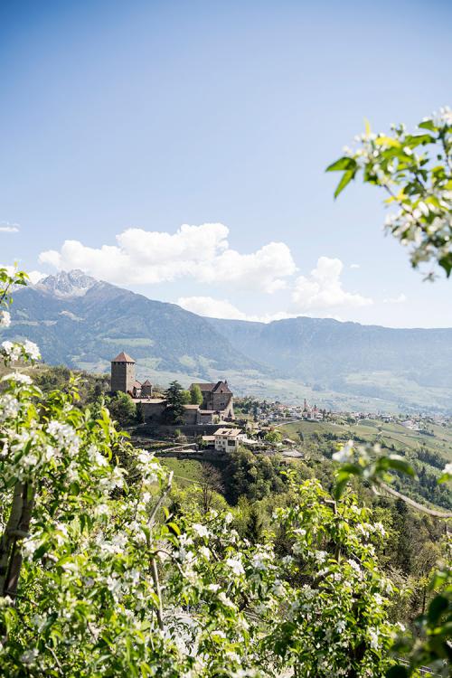 PRIMAVERA A MERANO & DINTORNI