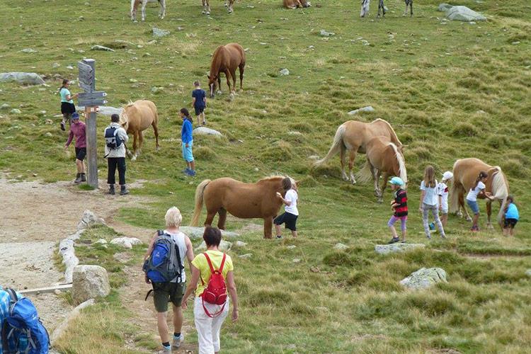 Gemeinsame Familienwanderung mit Gastgeberin Annemarie